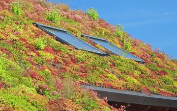 Wisbech St Mary living roof systems