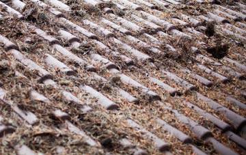 Wisbech St Mary roof cleaning companies