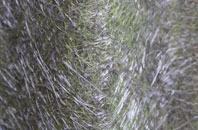 Wisbech St Mary fibreglass roof work